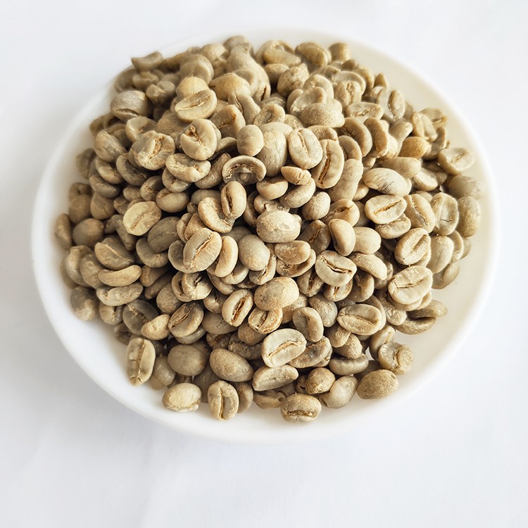 Export High Quality Arabica Green Coffee Beans