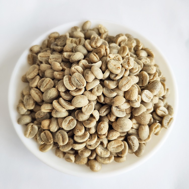 Export High Quality Arabica Green Coffee Beans