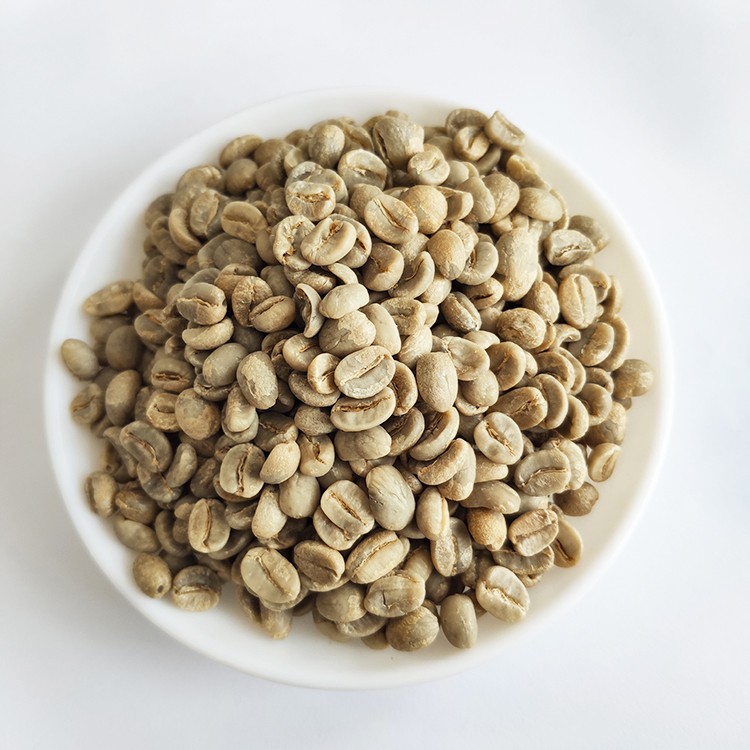 Export High Quality Arabica Green Coffee Beans