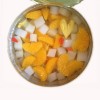 Canned Mixed Fruit / Fruit Cocktail in Syrup