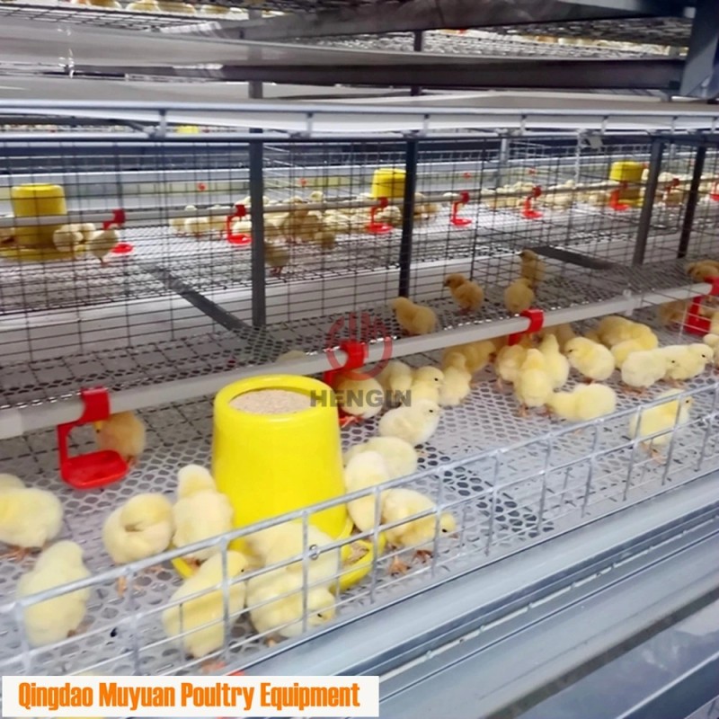 Galvanized Automatic 4 Tier Battery Meat Chicken Feeding Cage for Poultry Fram/ Farming Meat Broiler Raising Equipment