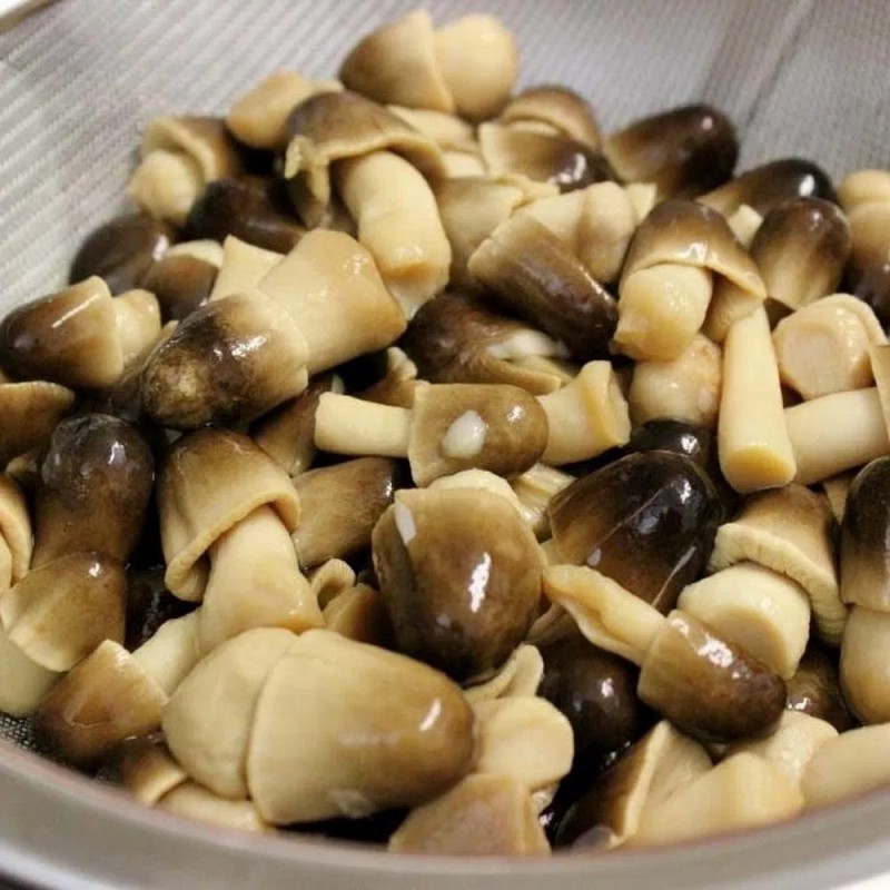 Eco-Friendly Standardized Steamed Canned Straw Mushroom for Fast Food Chains