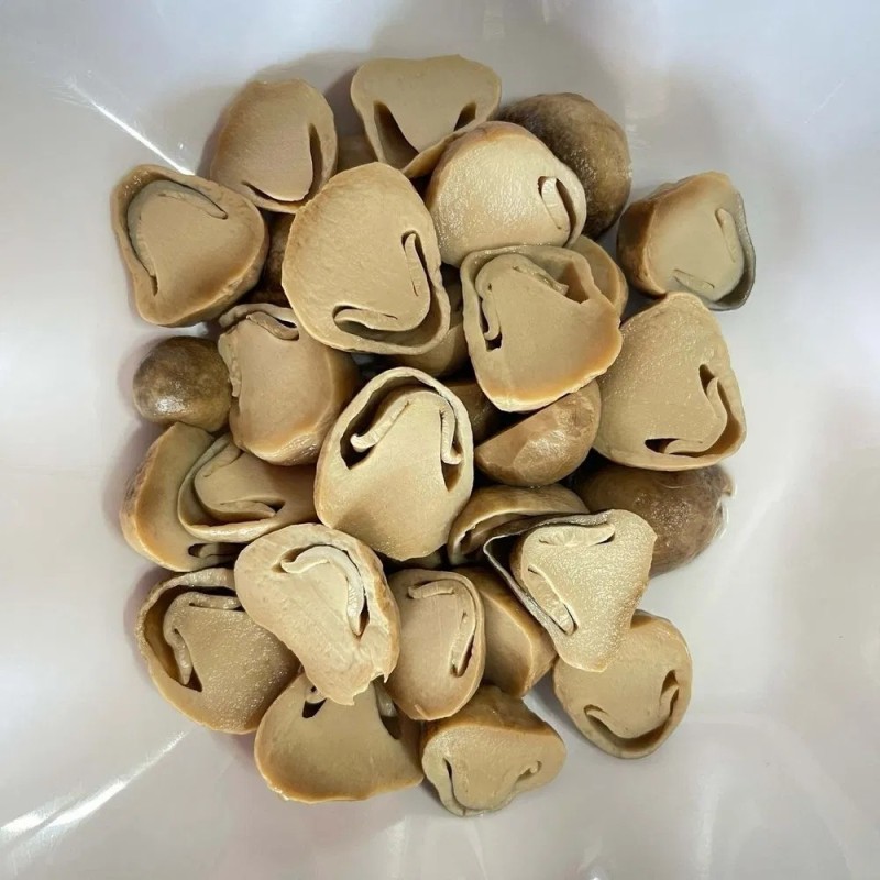 Eco-Friendly Standardized Steamed Canned Straw Mushroom for Fast Food Chains