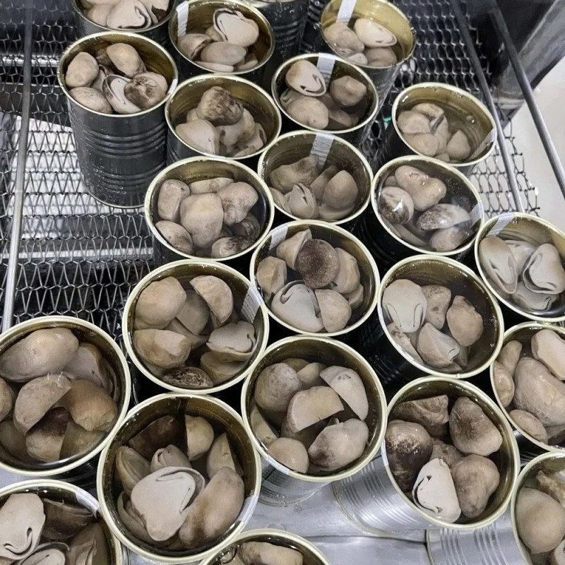 Eco-Friendly Standardized Steamed Canned Straw Mushroom for Fast Food Chains