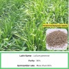 S803 Lolium Multiflorum Perenne Seeds Perennial Ryegrass Seeds