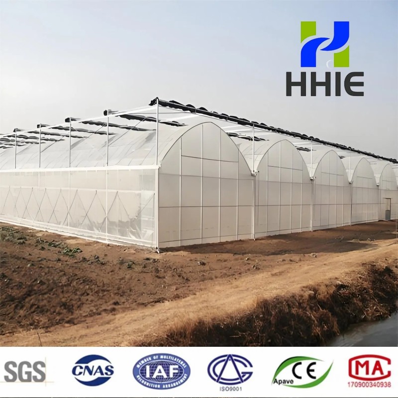 Arch Pipes Plastic Film Agricultural Greenhouse Bestseller
