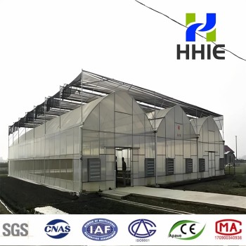 Arch Pipes Plastic Film Agricultural Greenhouse Bestseller