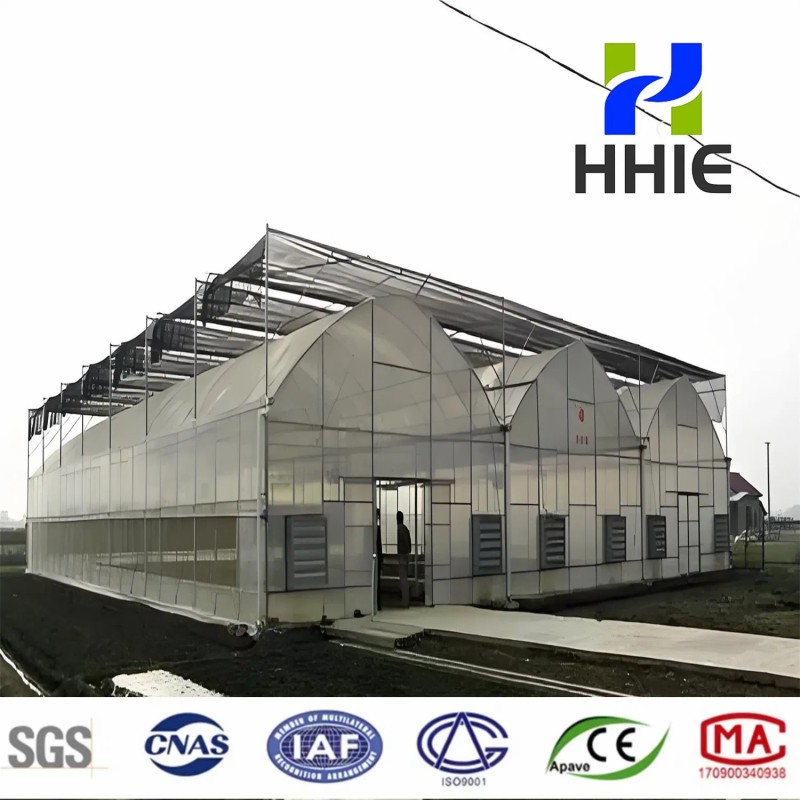 Arch Pipes Plastic Film Agricultural Greenhouse Bestseller