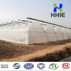 Arch Pipes Plastic Film Agricultural Greenhouse Bestseller
