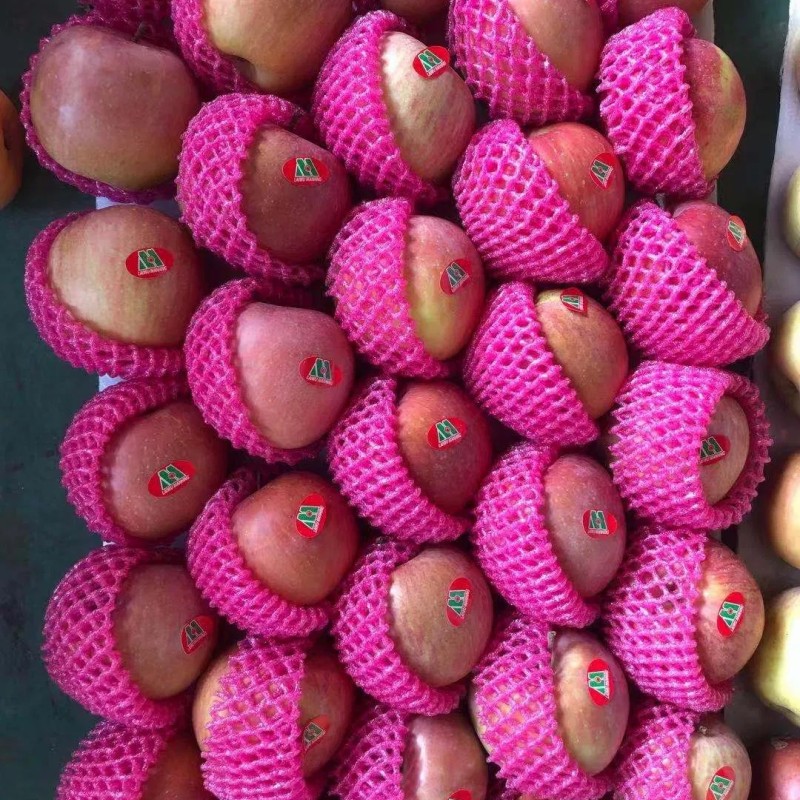 High Mountain Plastic Bagged FUJI Apple Weatern Apple