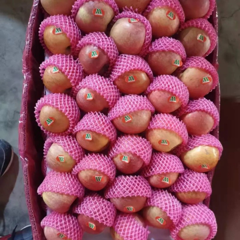 High Mountain Plastic Bagged FUJI Apple Weatern Apple