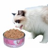 Wholesale Custom Label Healthy Natural Organic Formula Chicken / Tuna / Beef / Cod / Duck / Sea Snack / Fish Broth Sea Canned Pet/Cat Wet Food