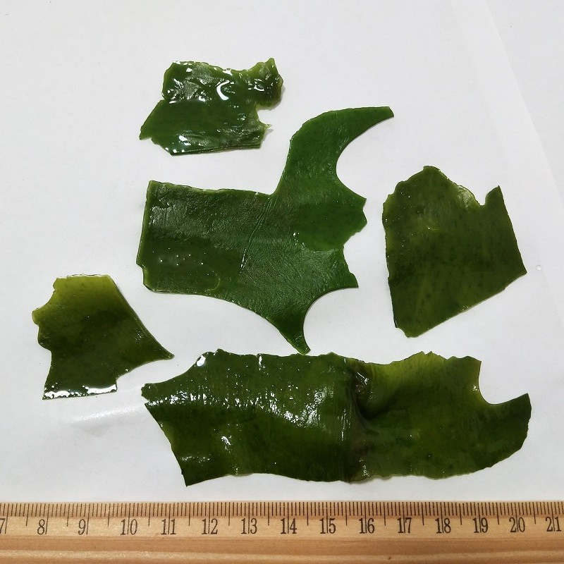 N05 Wholesale Premium Edible Middle Size Dried Undaria Pinnatifida Suringar Wakame Seaweed