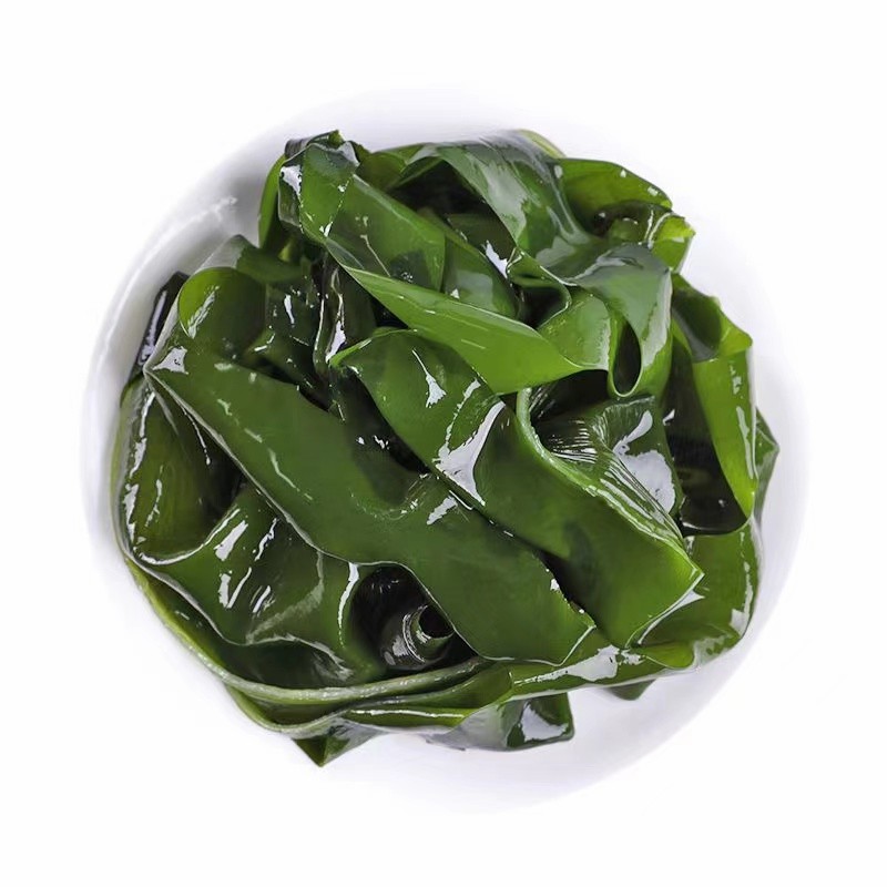 OEM Healthy Food Algae Laminaria Japonica Factory Price Kelp