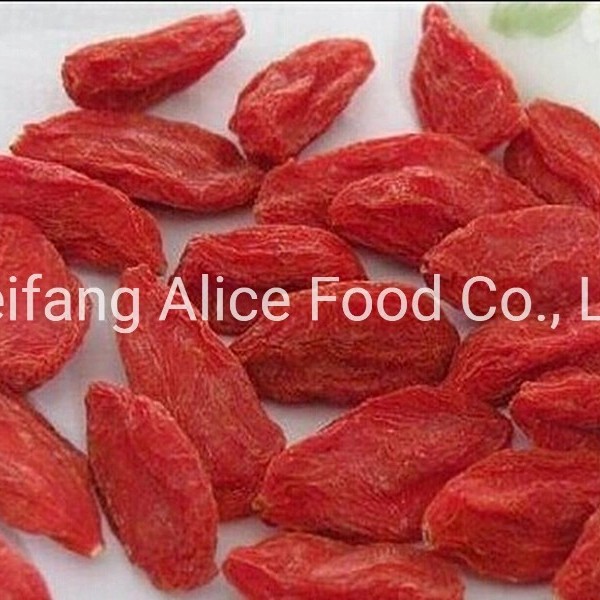 Ningxia China Goji Berry Healthy Food Dried Goji Berry