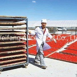 Ningxia China Goji Berry Healthy Food Dried Goji Berry