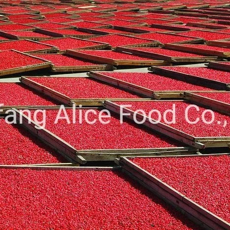 Ningxia China Goji Berry Healthy Food Dried Goji Berry