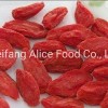 Ningxia China Goji Berry Healthy Food Dried Goji Berry