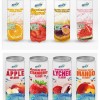 300ml PET Tin Sparkling Drink Soda with Fruit Juice