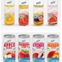 300ml PET Tin Sparkling Drink Soda with Fruit Juice