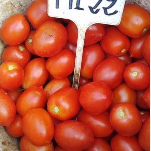 Premium 100% Natural Boswellia Extract Powder for Health