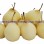 Top Quality with Best Price Chinese Fresh Sweet Ya Pear Fruit
