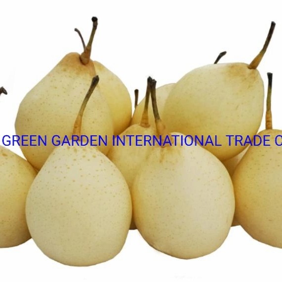 Top Quality with Best Price Chinese Fresh Sweet Ya Pear Fruit
