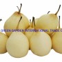 Top Quality with Best Price Chinese Fresh Sweet Ya Pear Fruit