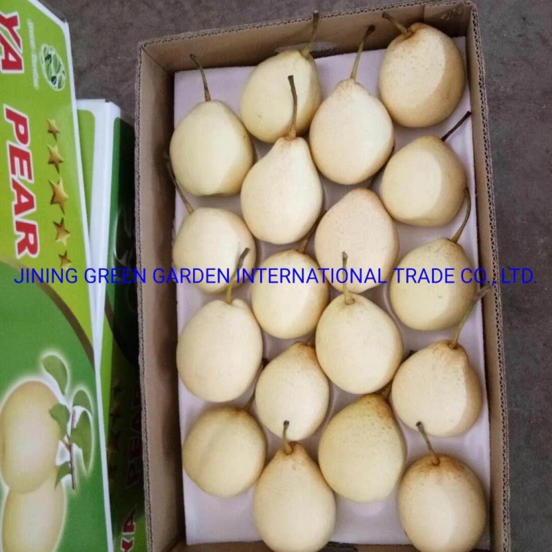 Top Quality with Best Price Chinese Fresh Sweet Ya Pear Fruit