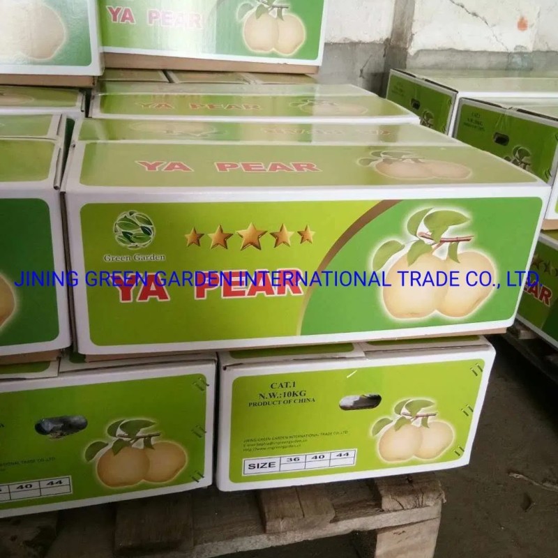 Top Quality with Best Price Chinese Fresh Sweet Ya Pear Fruit