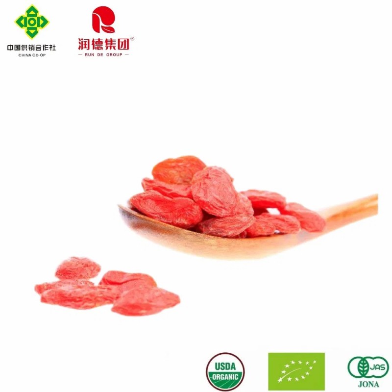 Organic Goji Berries Dried Fruit for Healthy Life at Affordable Prices