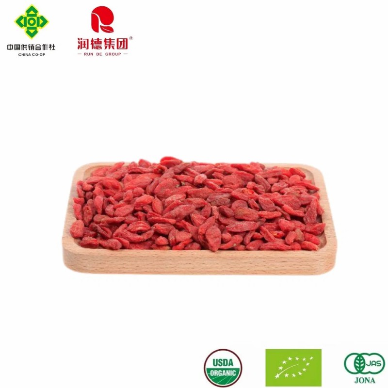 Organic Goji Berries Dried Fruit for Healthy Life at Affordable Prices