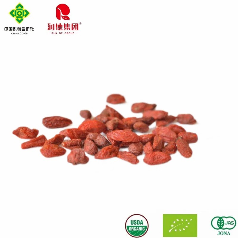 Organic Goji Berries Dried Fruit for Healthy Life at Affordable Prices
