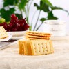 248g Sugar Free Calcium Soda Biscuit Salty Soda Cracker