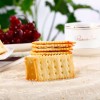 248g Sugar Free Calcium Soda Biscuit Salty Soda Cracker