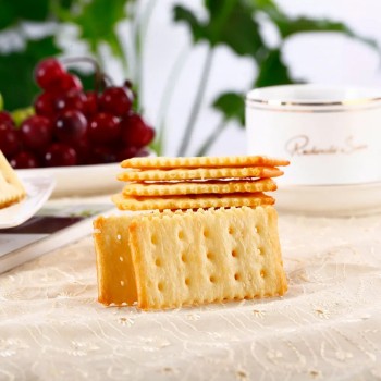 248g Sugar Free Calcium Soda Biscuit Salty Soda Cracker