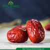 Factory Supply High Quality Dried Xinjiang Hotan Red Dates/Jujube for Mommy and Children