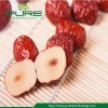 Factory Supply High Quality Dried Xinjiang Hotan Red Dates/Jujube for Mommy and Children
