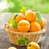 Healthy Fresh 3000g Rock Sugar Luxury Yellow Peach Catering Food Can Fruit
