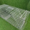 Large Single Door Humane Catch and Release Live Animal Trap for Raccoons Cats Small Dogs Groundhogs Opossums Foxes
