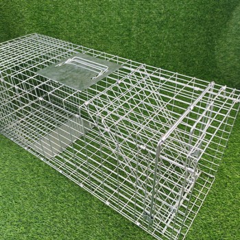 Large Single Door Humane Catch and Release Live Animal Trap for Raccoons Cats Small Dogs Groundhogs Opossums Foxes