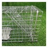Large Single Door Humane Catch and Release Live Animal Trap for Raccoons Cats Small Dogs Groundhogs Opossums Foxes