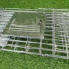 Large Single Door Humane Catch and Release Live Animal Trap for Raccoons Cats Small Dogs Groundhogs Opossums Foxes