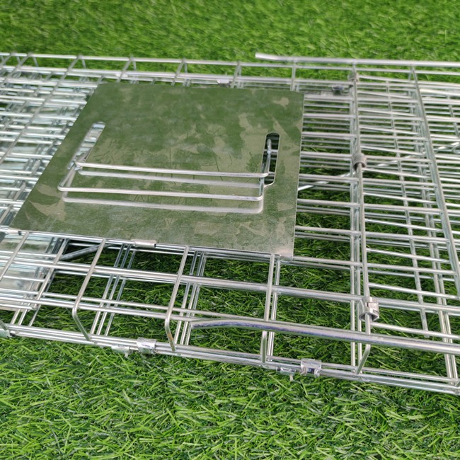 Large Single Door Humane Catch and Release Live Animal Trap for Raccoons Cats Small Dogs Groundhogs Opossums Foxes