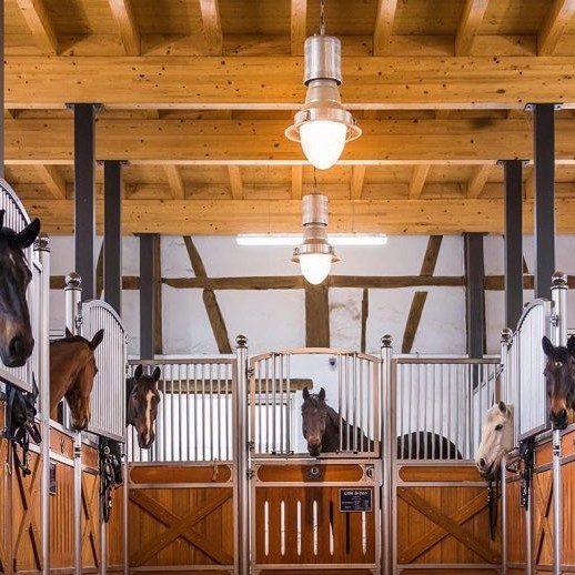 Outdoor Horse Stable Horse Stable Horse Boxes