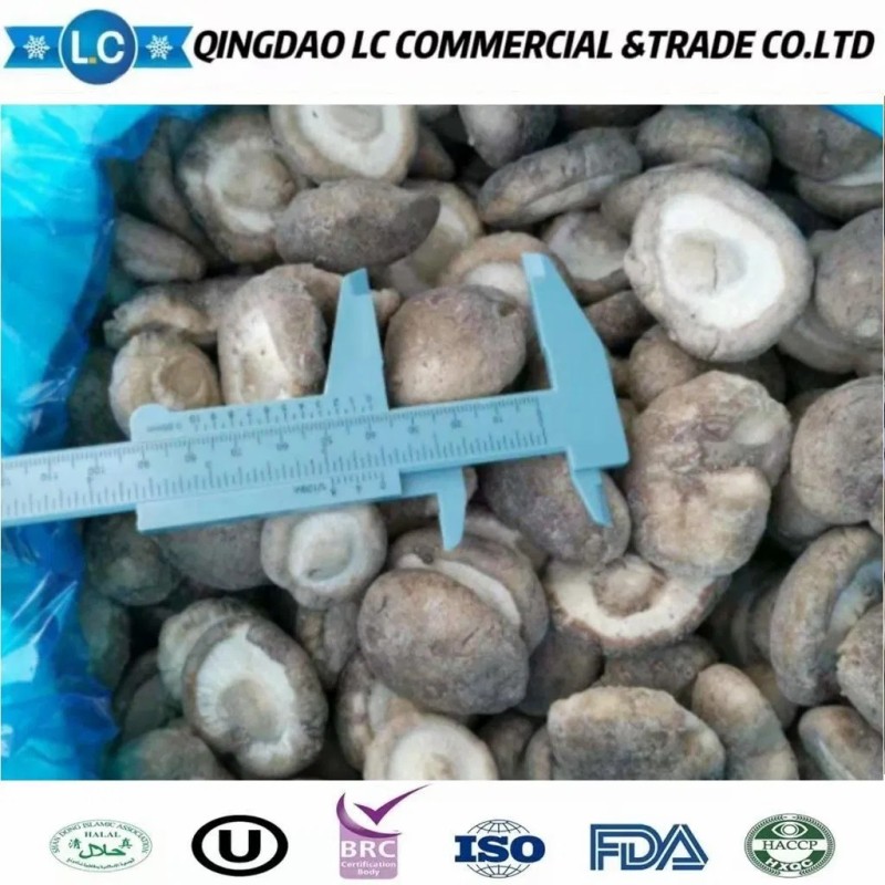 IQF Buyers Price Frozen Shiitake Mushroom for Sale