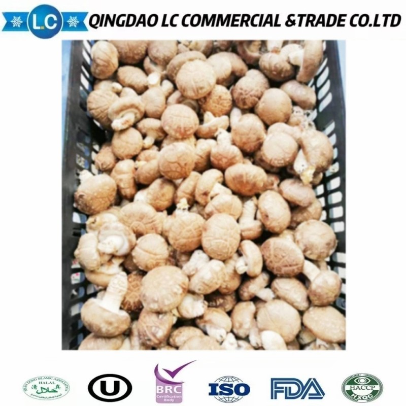 IQF Buyers Price Frozen Shiitake Mushroom for Sale