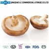 IQF Buyers Price Frozen Shiitake Mushroom for Sale
