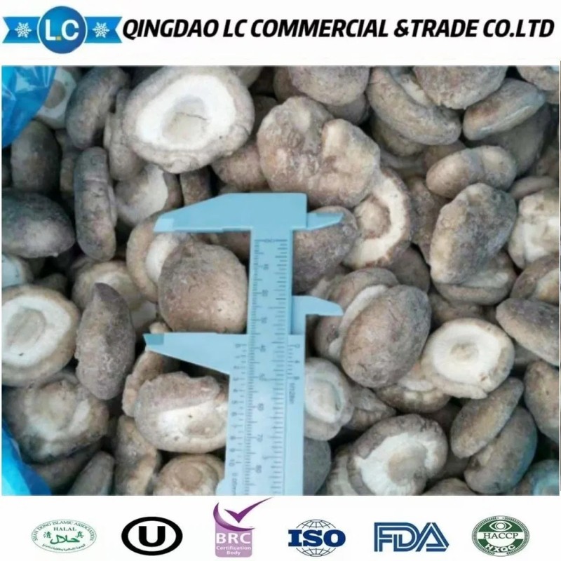 IQF Buyers Price Frozen Shiitake Mushroom for Sale