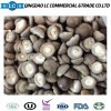 IQF Buyers Price Frozen Shiitake Mushroom for Sale